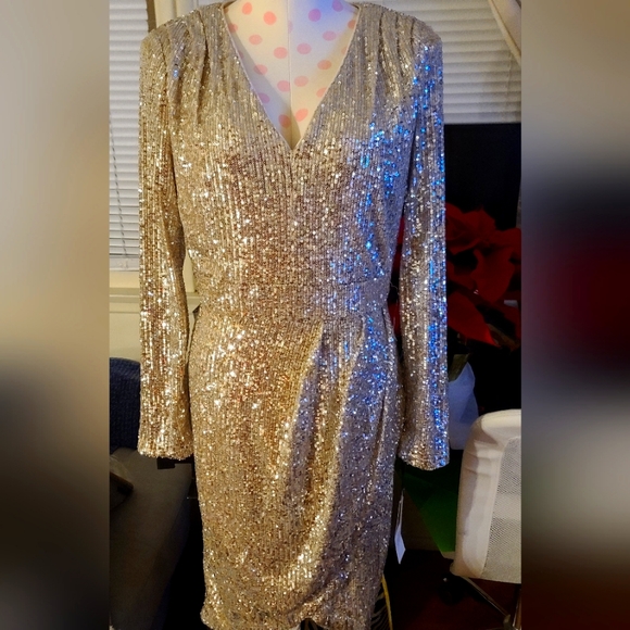 Long sleeve sequin dress